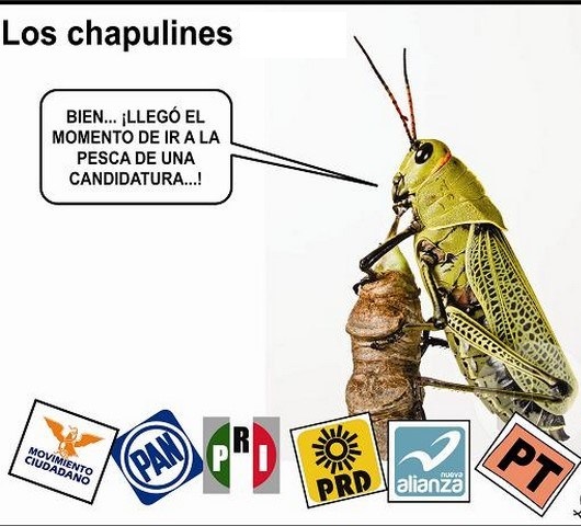 Efervescencia de Chapulines del PRI, PAN, Morena, PRD van por reelección, alcaldias y diputaciones