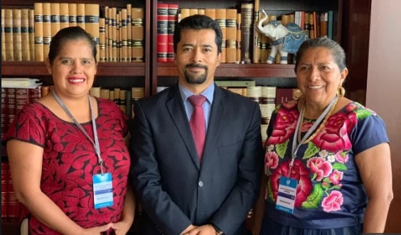 Por “Primores” suspendieron derechos políticos a 16 diputados de Morena en Oaxaca