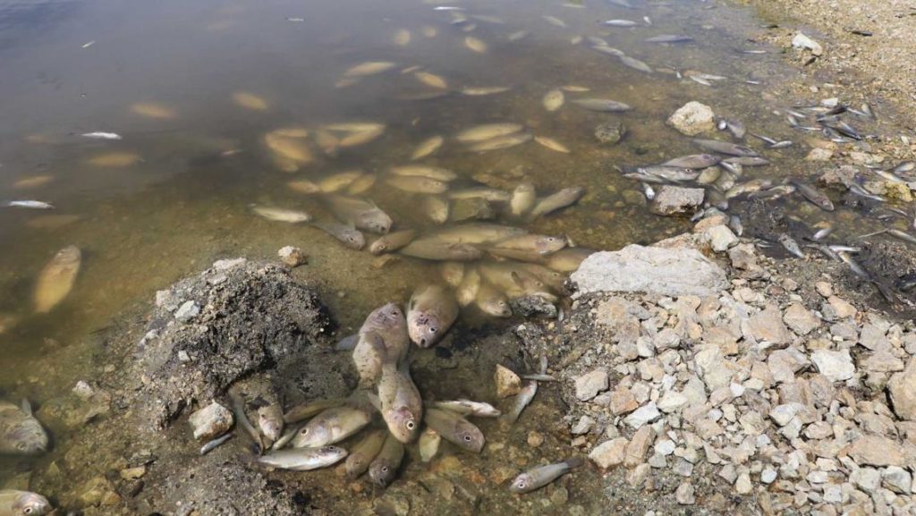 Va legislatura oaxaqueña por ley de protección a ríos que involucre a ayuntamientos ante contaminación acelerada