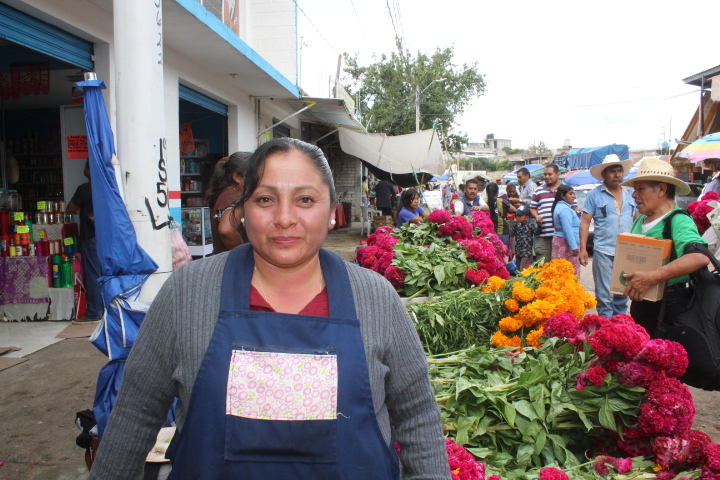 En la Mixteca se cultivan flores de muerto para reforzar tradiciones y economía