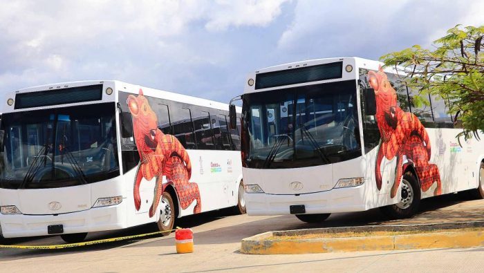 Tras 700 mdp de inversión en dos sexenios, instalarán el 15 de noviembre 43 autobuses del “Citybus”