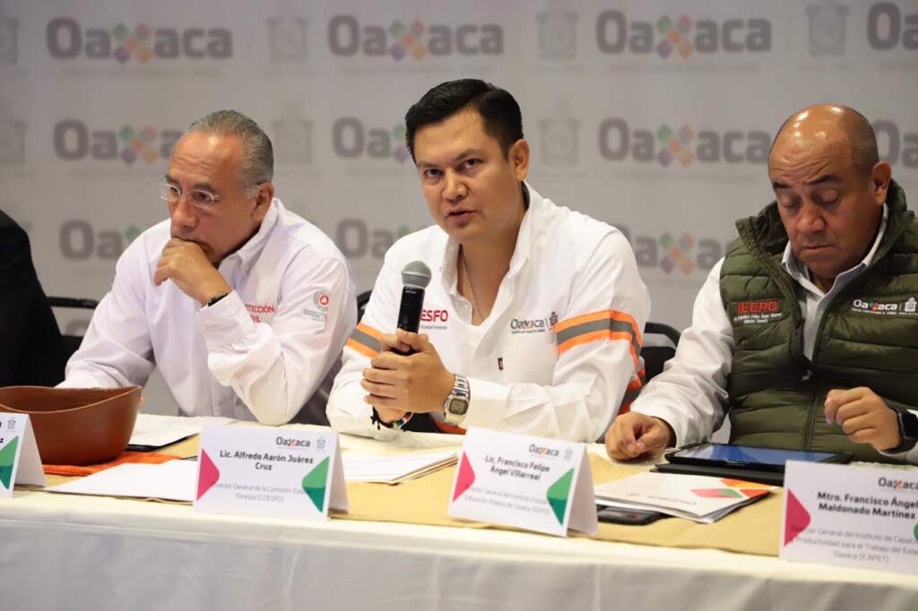 Denuncia OSFEO inconsistencias graves en la Comisión Forestal de Oaxaca