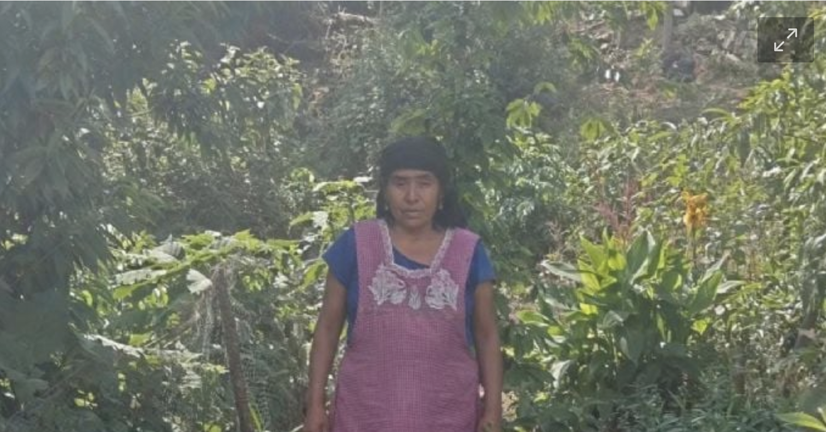 Con el apoyo de autoridades, una mujer fue desterrada y despojada de sus bienes en Oaxaca