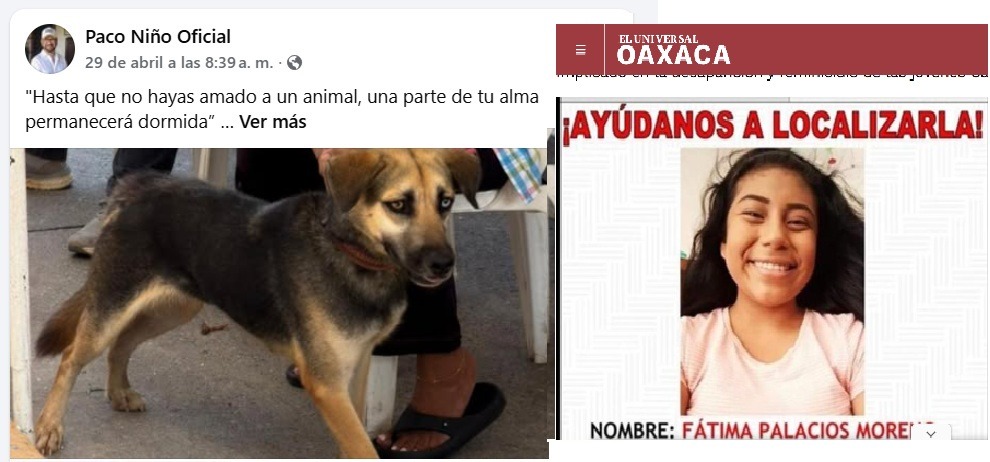 Indignación por Rocko deriva en cuestionamientos contra Paco Niño por presunta incongruencia pública