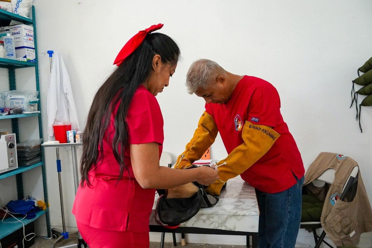 Gobierno de Tuxtepec impulsa el bienestar animal con exitosa jornada de esterilización